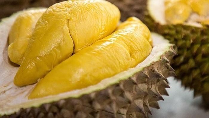 Makanan dan minuman yang tidak boleh di makan bersamaan dengan buah durian